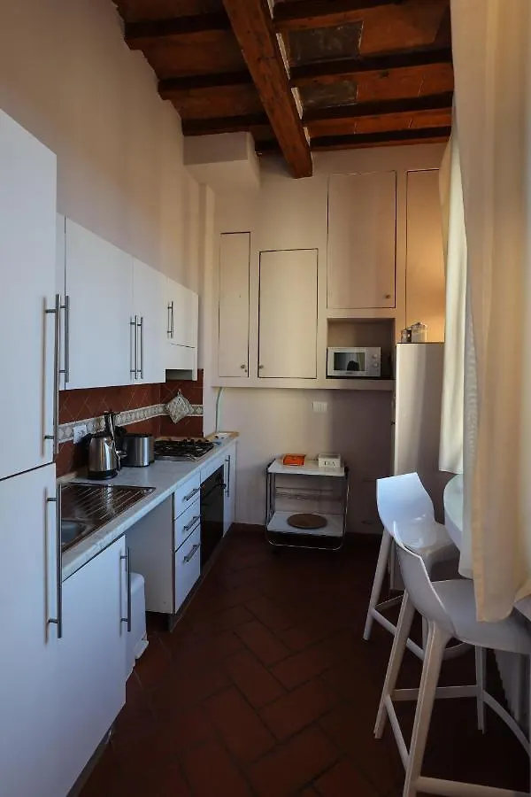公寓 Santo Spirito - Elegante Appartamento In Pieno Centro 佛罗伦萨 意大利