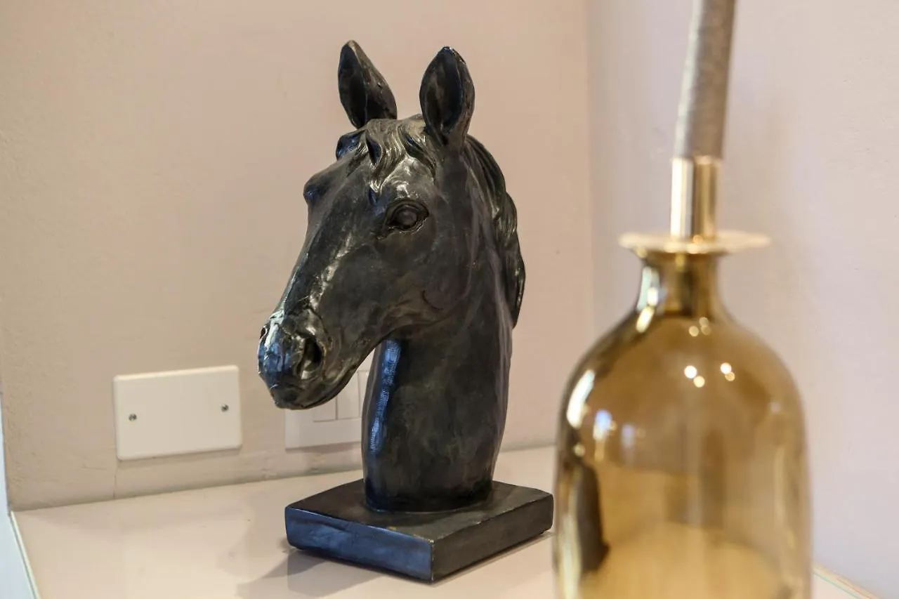 Apartment Santo Spirito - Elegante Appartamento In Pieno Centro Florence Italy